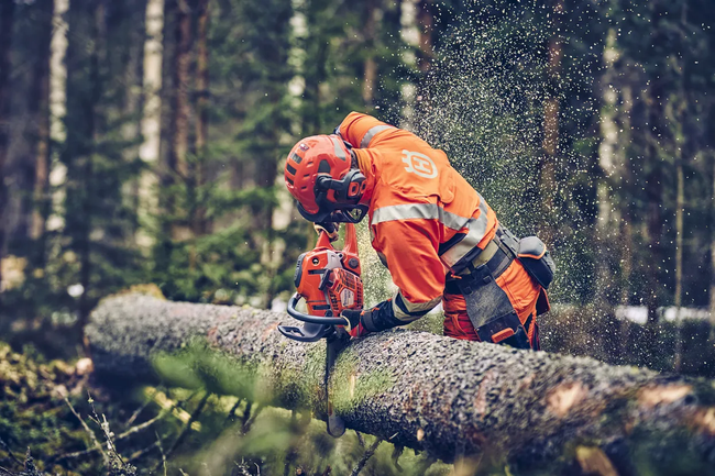 Pilarka Spalinowa Husqvarna 560 XP Mark II + olej Husqvarna