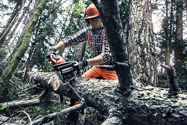 Pilarka Spalinowa Husqvarna 560 XP® model 2020 + olej Husqvarna + ŁAŃCUCH GRATIS