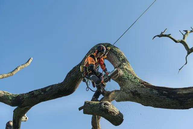 Pilarka łańcuchowa Husqvarna T540i XP G