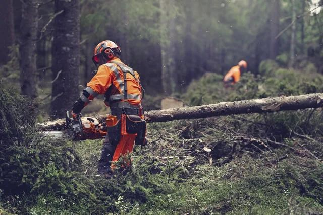 Pilarka łańcuchowa Husqvarna 564 XP® z wtryskiem paliwa