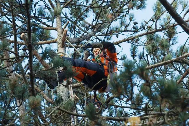 Pilarka łańcuchowa Husqvarna T540i XP G