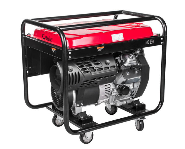 Agregat prądotwórczy Cedrus AG10E-3F