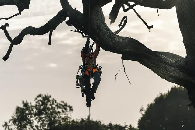 Pilarka łańcuchowa Husqvarna T540i XP G