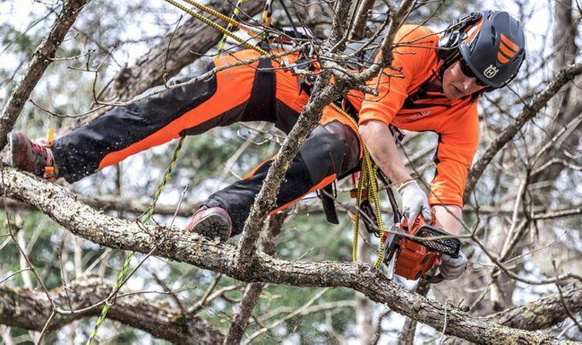 Pilarka spalinowa Husqvarna T525 carving + olej Husqvarna + ŁAŃCUCH GRATIS