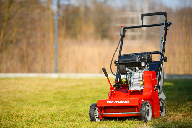 Wertykulator Weibang 38cm B&S 750