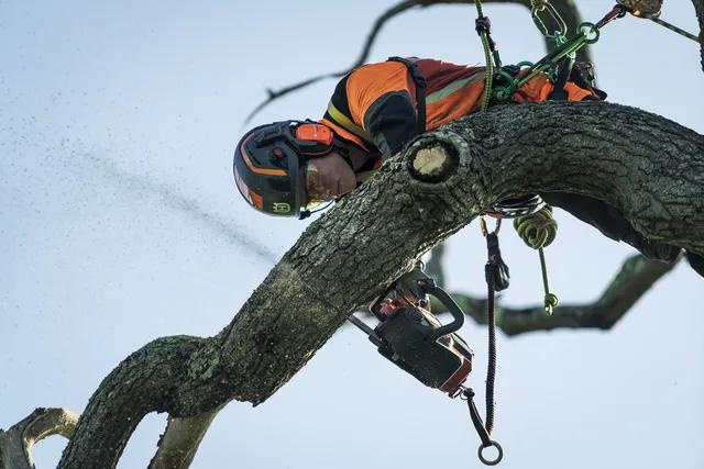 Pilarka łańcuchowa Husqvarna T540i XP G