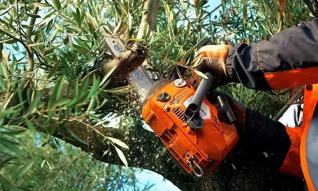 Pilarka spalinowa Husqvarna T435 + olej Husqvarna + ŁAŃCUCH GRATIS