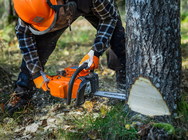 Pilarka spalinowa Husqvarna 445s + olej Husqvarna